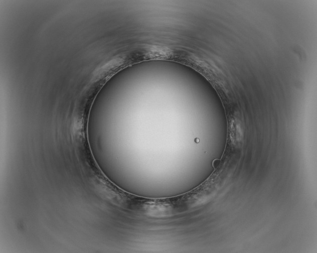 X0000112890714200908211454
