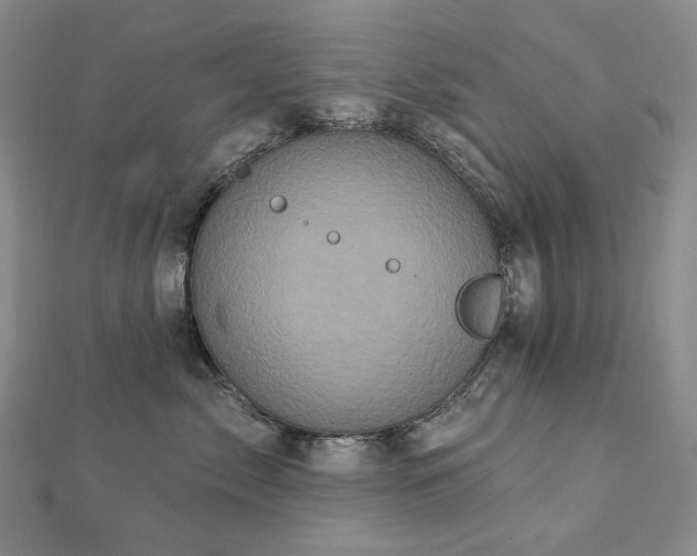 X0000112890717200908211454