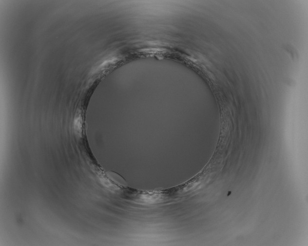 X0000112890720200908211454