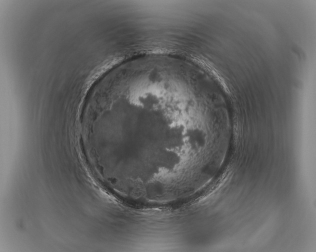 X0000112890721200908211453