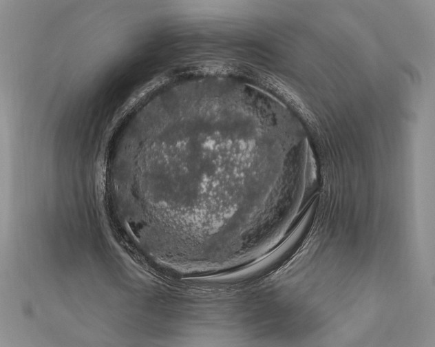 X0000112890722200908211453