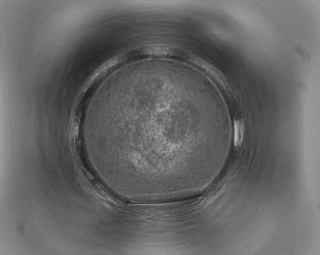 X0000112890723200908211453