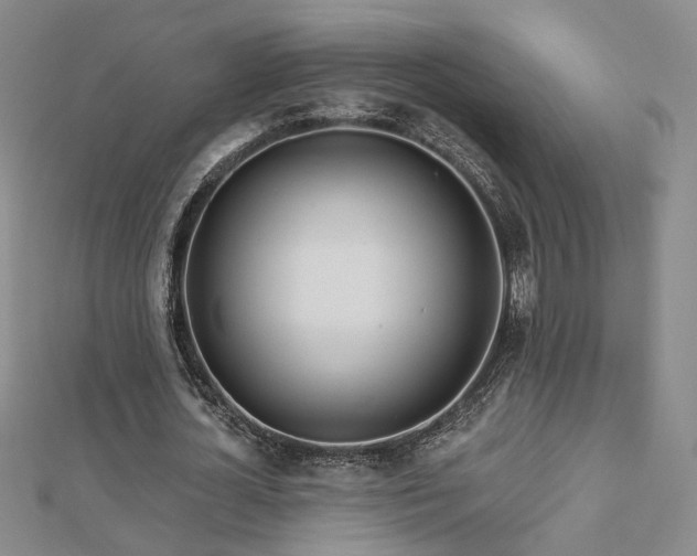 X0000112890724200908211453
