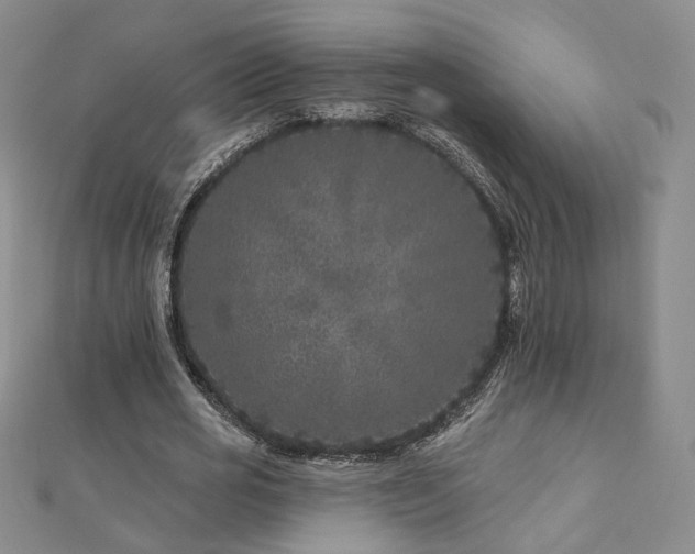 X0000112890725200908211453