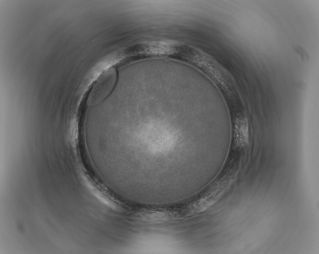 X0000112890726200908211453