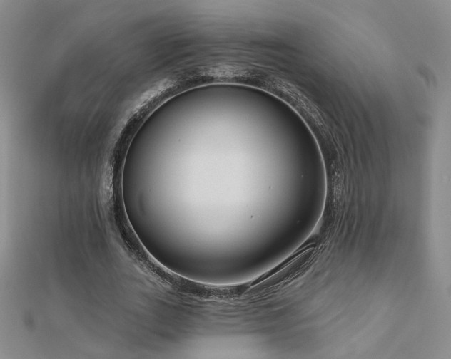 X0000112890727200908211453