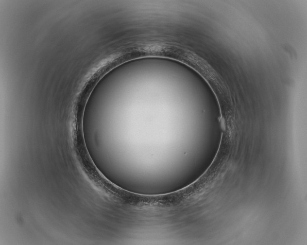 X0000112890728200908211453