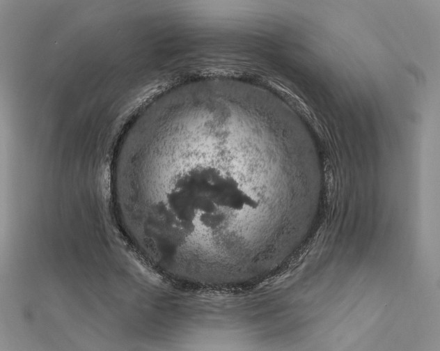 X0000112890729200908211453