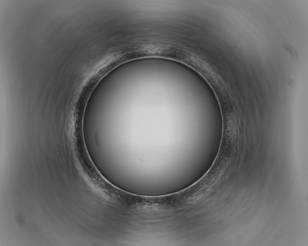 X0000112890730200908211453