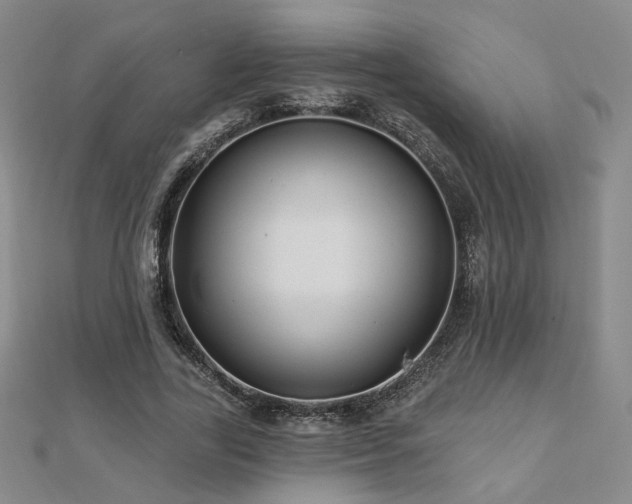 X0000112890731200908211453