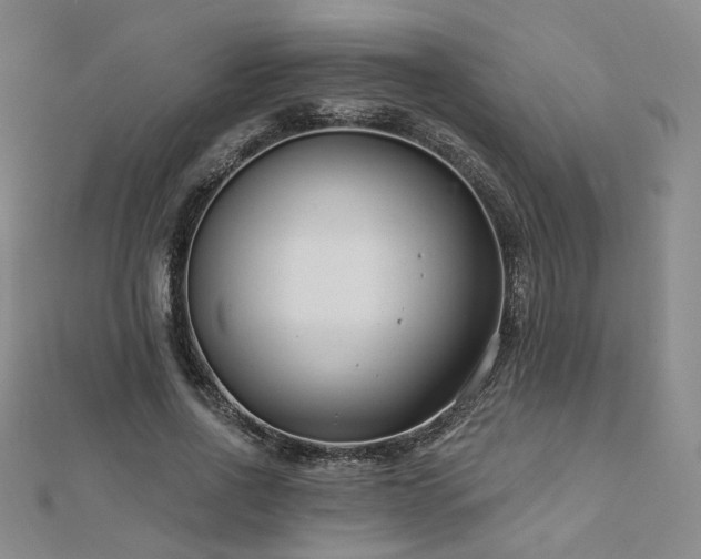 X0000112890734200908211453