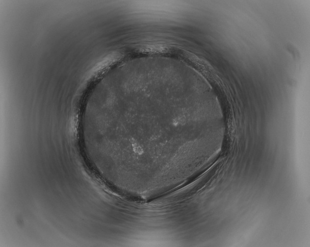 X0000112890735200908211453