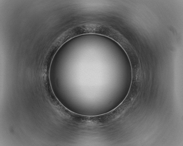 X0000112890737200908211453