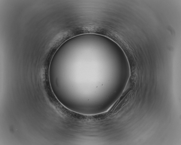 X0000112890738200908211453