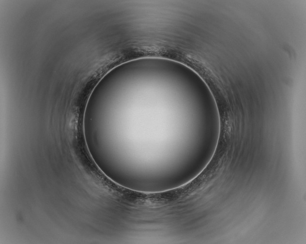X0000112890739200908211453