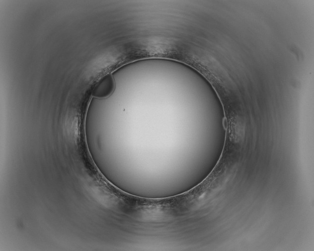 X0000112890740200908211453