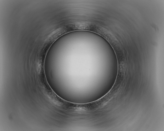 X0000112890741200908211453