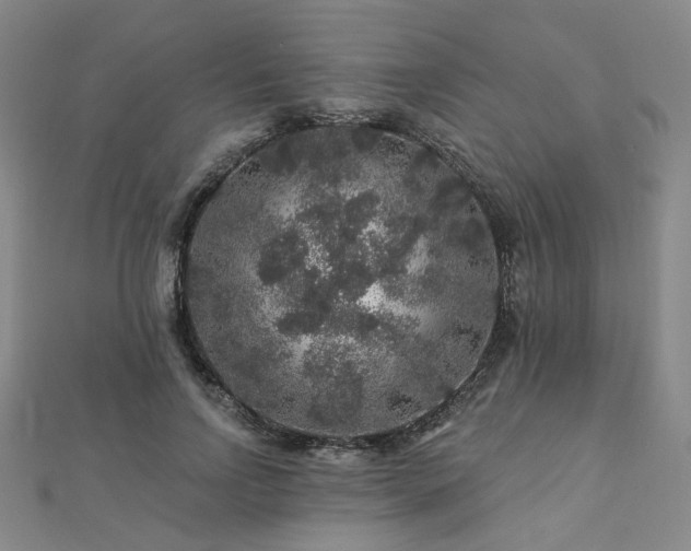 X0000112890742200908211453
