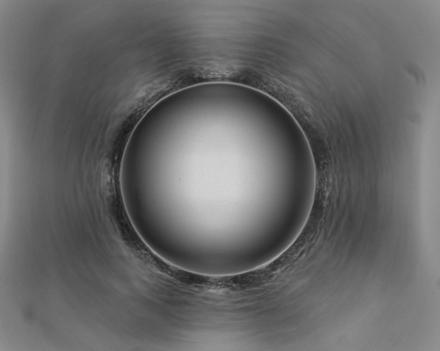 X0000112890743200908211453
