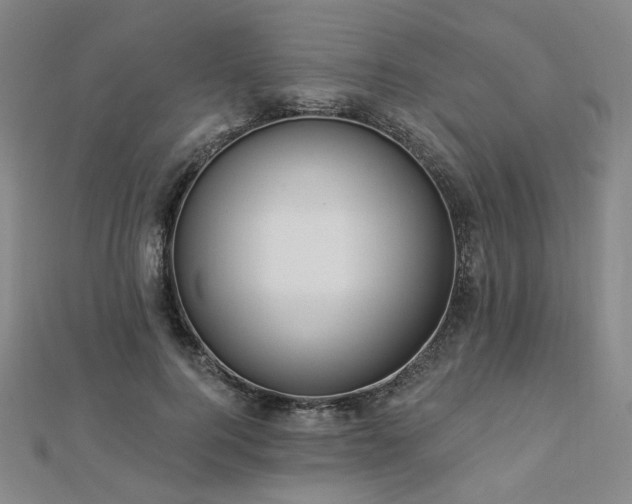 X0000112890744200908211453