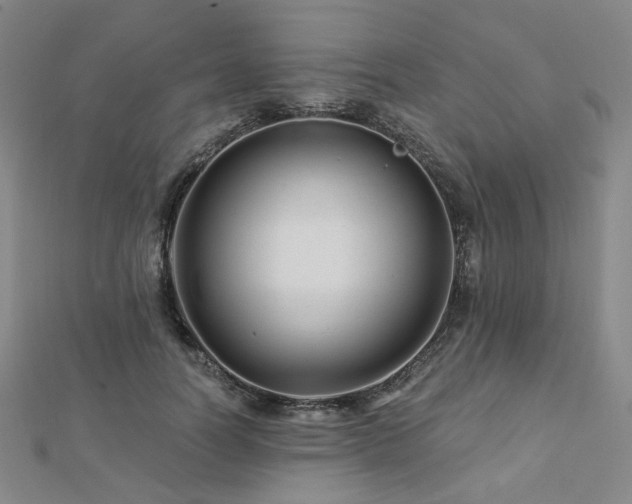 X0000112890746200908211453