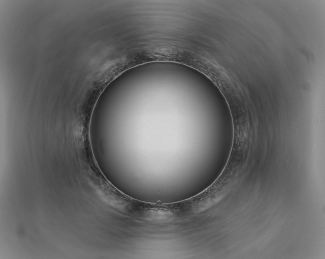 X0000112890749200908211453