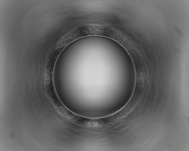 X0000112890751200908211453
