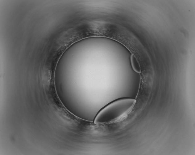 X0000112890752200908211453