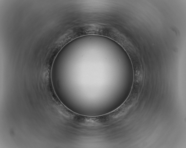 X0000112890753200908211453