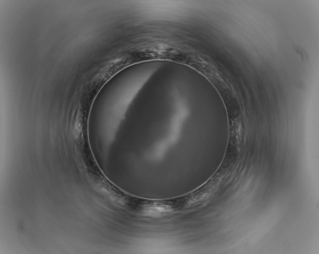 X0000112890754200908211453