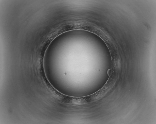 X0000112890757200908211453