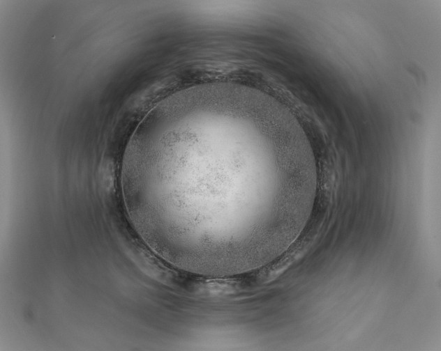 X0000112890758200908211453