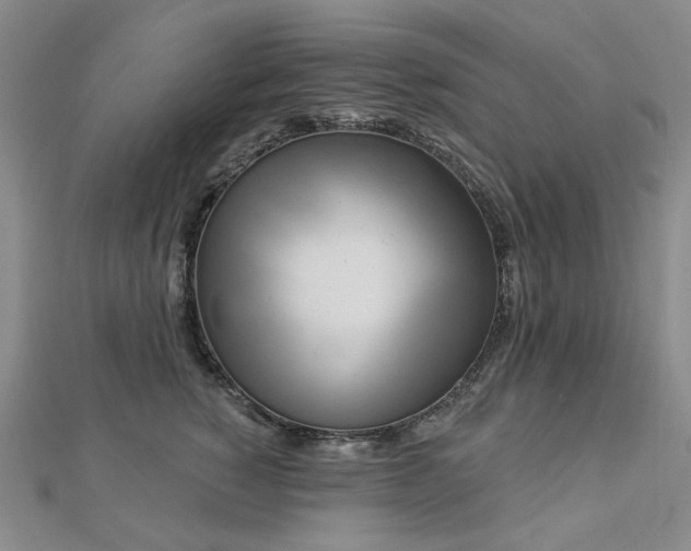 X0000112890760200908211453
