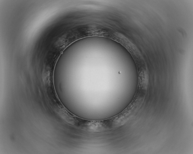 X0000112890762200908211453