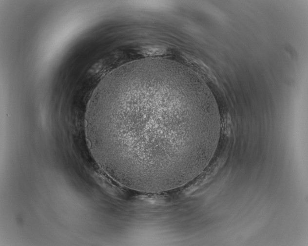 X0000112890763200908211453