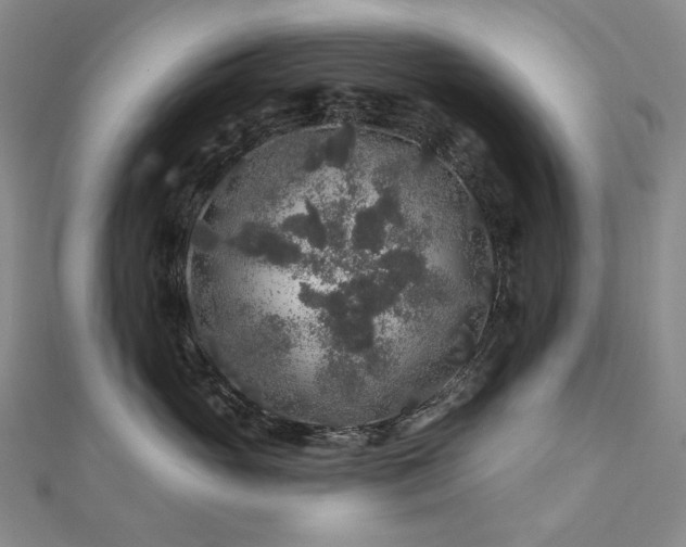 X0000112890765200908211453