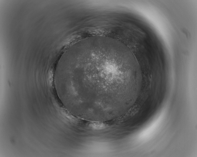 X0000112890767200908211453
