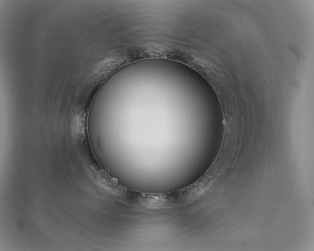 X0000112890768200908211453