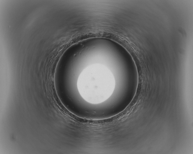 X0000112890769200908211453