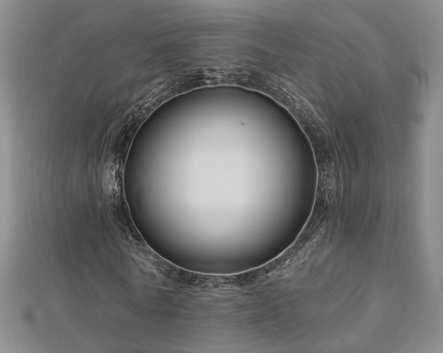 X0000112890770200908211453