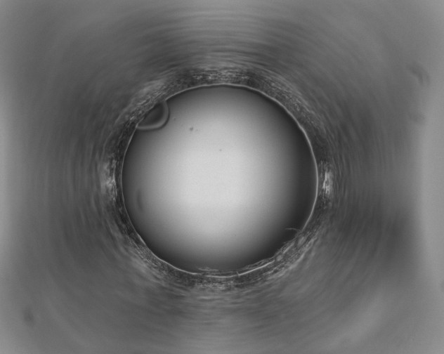 X0000112890771200908211453