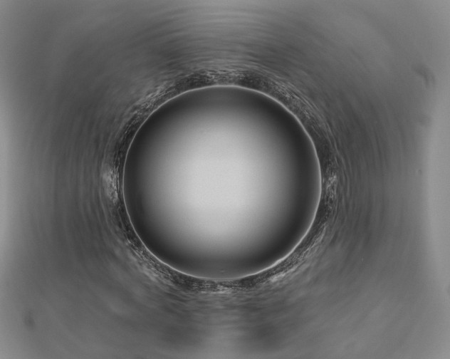 X0000112890772200908211453