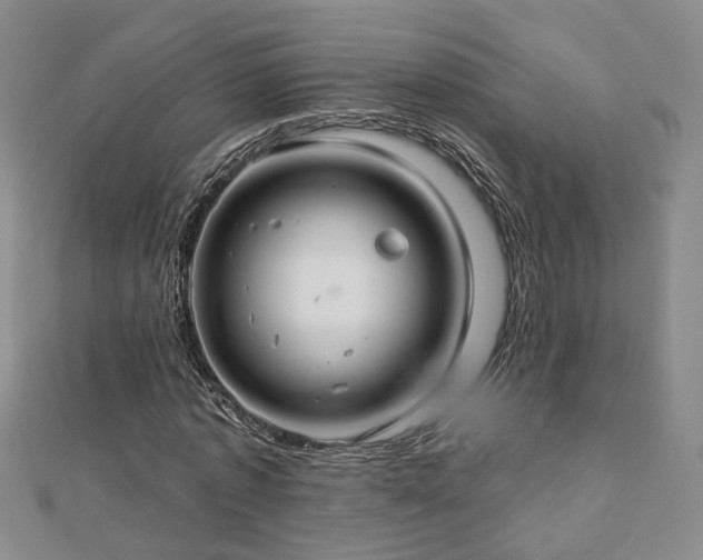 X0000112890773200908211453
