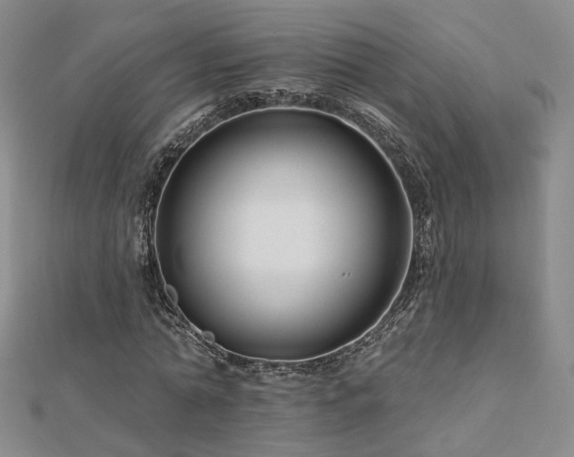 X0000112890774200908211453