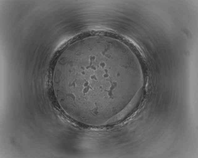 X0000112890775200908211453