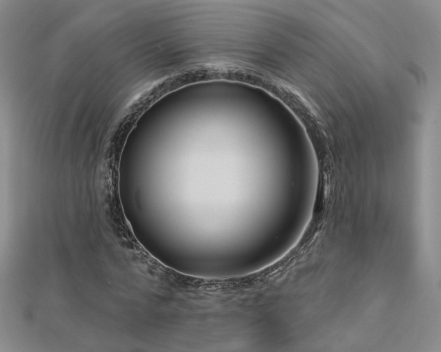 X0000112890776200908211453