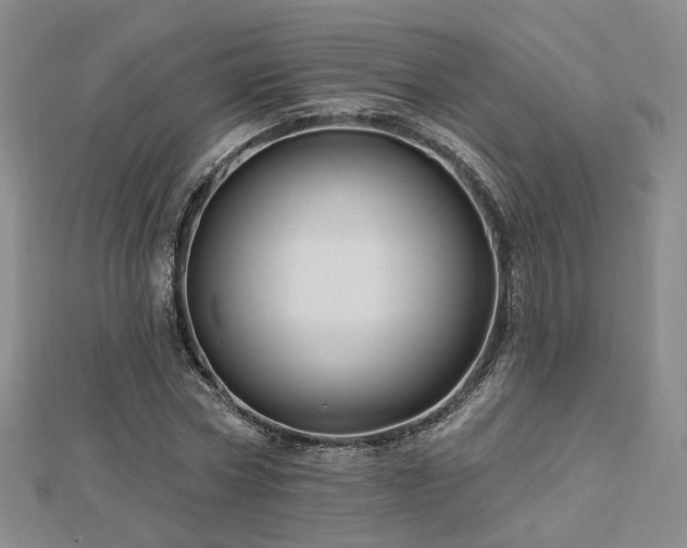 X0000112890778200908211453