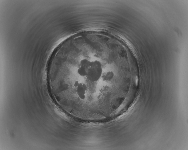X0000112890779200908211453