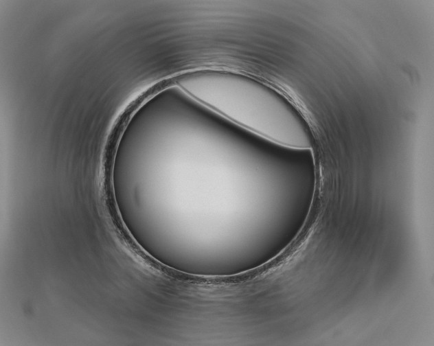 X0000112890780200908211453
