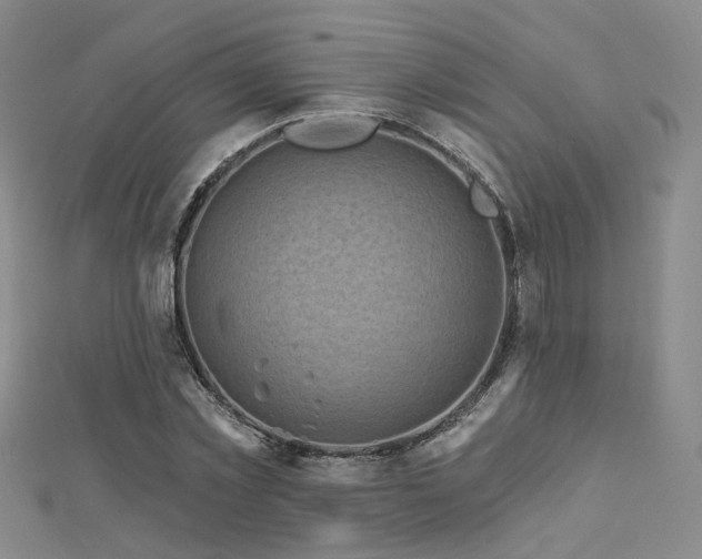 X0000112890781200908211453